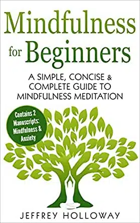 mindfulness for beginners cover 