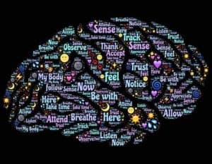 developing a better mindset in the brain 