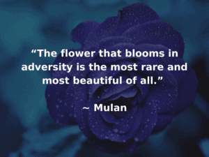 quote from mulan about adversity