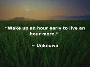 wake up early quotes with sun and grass in the background