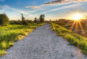 photo of a path leading towards fulfillment