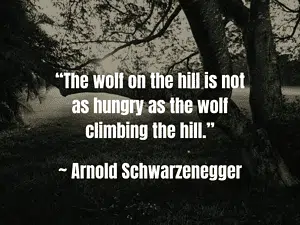 lone wolf quote