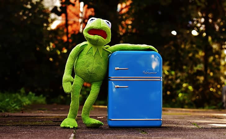 kermit the frog with a suitcase